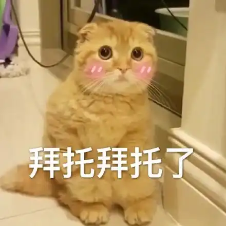 猫咪表情包拜托拜托了我可以盘你吗