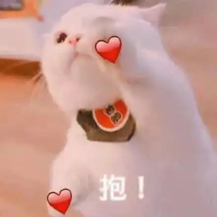 culr展新桃听说你们想去校元旦现场范范来送票啦