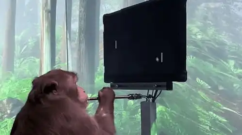 脑机接口开启人类未来新纪元