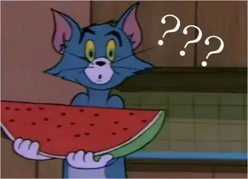 一个西瓜惹的祸