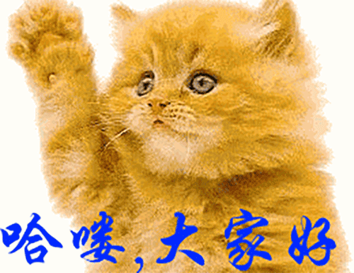 正月十七暖心早晨祝福语图片微信早晨表情动图大全