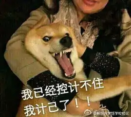 午fun来了需要舔屏的人太多舌头明显不够用了