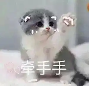 撒娇小猫咪表情包