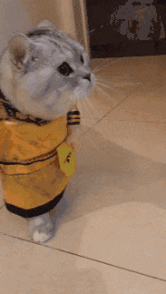 妹子你自拍也太随意了吧,你包里的玩具都被拍进去了,看着多尴尬