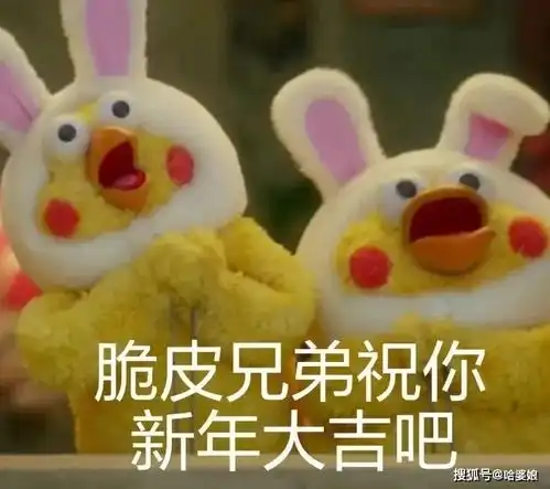 鹦鹉兄弟表情包合集第一弹