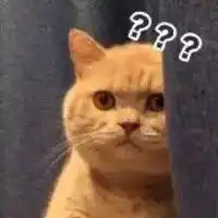 恶龙咆哮喵喵喵表情包微信头像图片大全