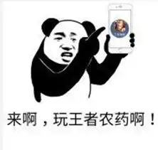 女生打王者荣耀表情包图片大全