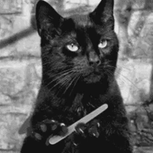 警告寝室非法外之地垃圾请自觉带走