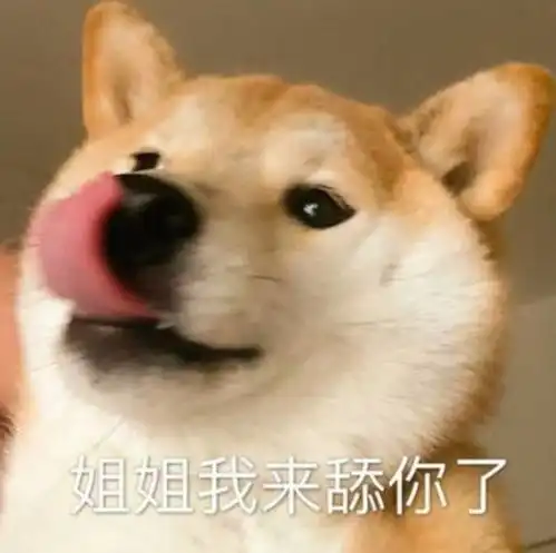 福利店庆一周,疯狂加码,错过这次,再等一年活动