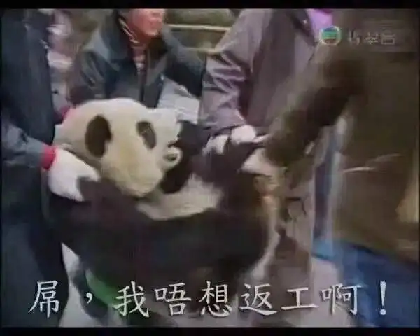 无内鬼,抓紧收图