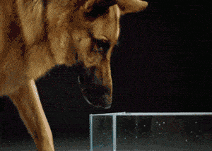 感冒了向女老板请假,原本想发