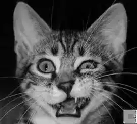 医院各部门领导及职工表情大全,不要笑