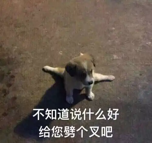 大学的学生会人际关系有多复杂