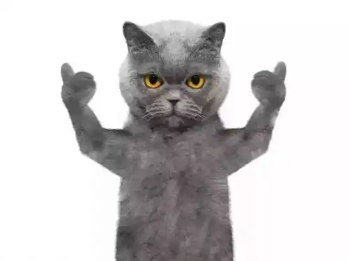 黑龙江公开招聘教师94人,只要你符合条件,就来吧