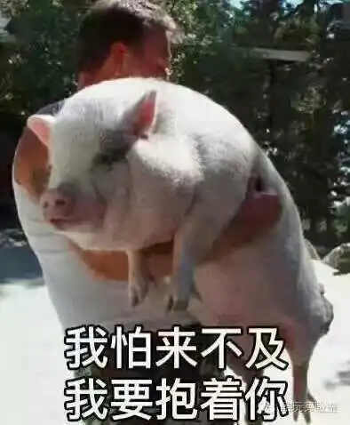 开个vx小号又他妈通知了通讯录