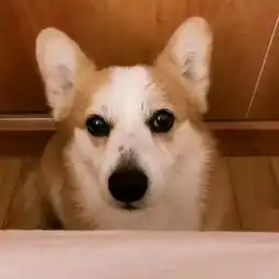 从微信头像看你的性格,别说,还挺准