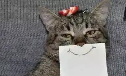 大世界清风店连锁商场低价风暴来袭,万种商品价格低到你想象不到