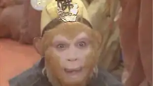 如来就是菩提祖师你错了,也不看看孙悟空成佛时如来说了啥