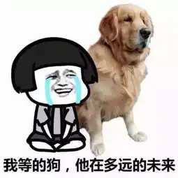 不一样的双十一,单身贵族的绝地反击