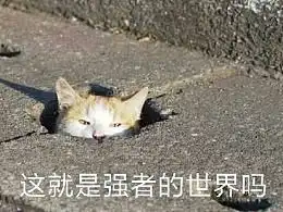 发现最新发布手工艺作品首饰zcool