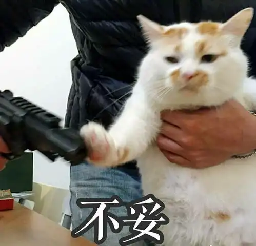 精致优雅又勤俭持家这些省钱小技巧留学女孩一定要知道