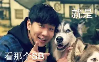 你有什么林俊杰的表情包