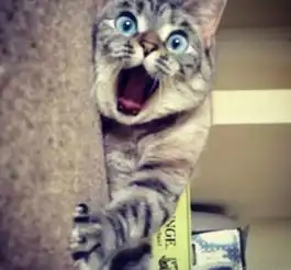 医院各部门领导及职工表情大全,不要笑