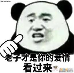 不不不那是你表情包这就是强者的世界吗表情包图片下载乐游网手机下载站