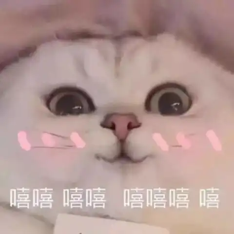 小奶猫给你jiojio舔,表情包今天是可爱崽崽,嘻嘻嘻