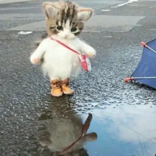 今日头像推荐721