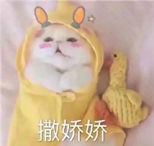 女教员上海家教家教114