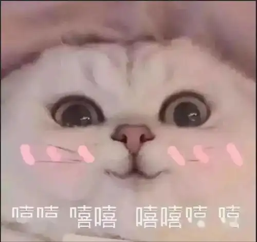 你想好以什么方式度过这个寒假了吗