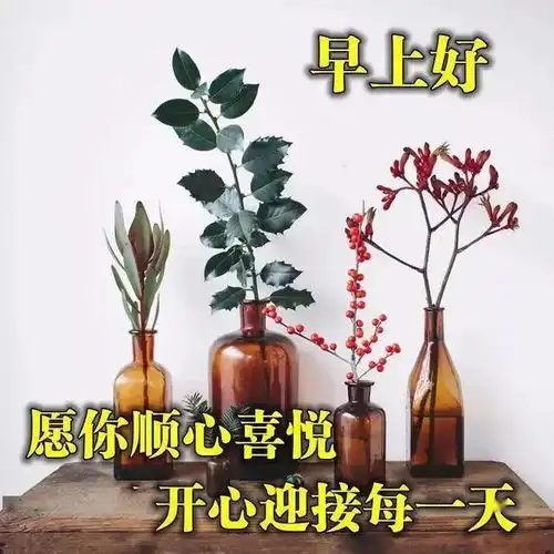 周二早上好阳光祝福表情温馨问候图片精选新早上好问候语表情图片