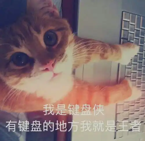 表情包你舍得让我流泪吗