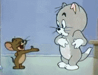 美食总动员规则你跟的上我的斯必得吗