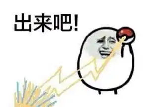 如果可以你会带哪只精灵参加期末考