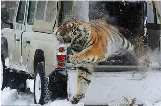 煤炭解困之后嵩阳煤机这是要猛虎出笼