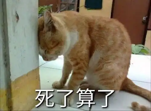 幽默段子你辛苦爬了十层楼,可能才达到了别人的地下室