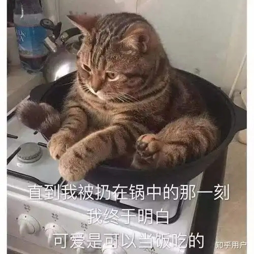 刘亦菲代言阿迪达斯,有网友说她有点不搭,没什么运动感,大家会买吗