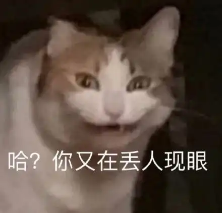 猫咪骂骂咧咧表情包你这是找打