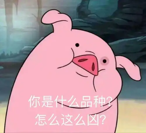 荒岛求生只能带一个同伴,你会选择谁