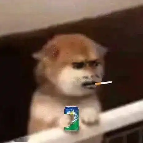 今日表情推荐,116