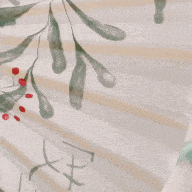 网红猫咪猫咪赵又廷表情包