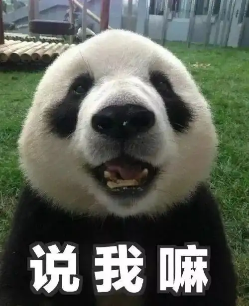 一路睡上位的假纯真贱的大花