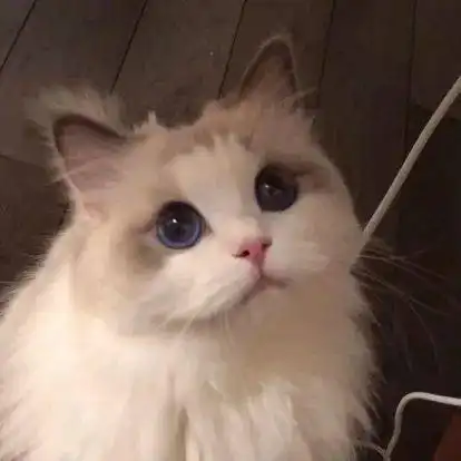 光华研会你的需求,我们倾听关于公共空间利用和科研资源需求的调查