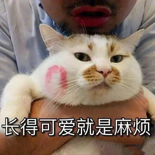 有没有吉林农业大学的学长学姐,能介绍一下学校情况吗