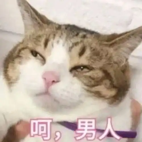 天津相声广播雪球我都想好砸谁了,积雪呢