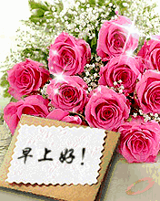 100张早上好表情包,让你100天的问候不重样赶快收藏转发吧