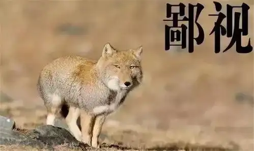 绝区零表情包动态面壁思过