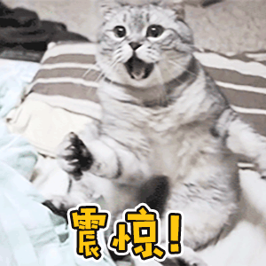 一脸懵的表情包动态蛤有点懵了,这是什么情况,容我想想